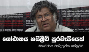 ගෝඨාභය හයිබ්‍රිඩ් පුරවැසියෙක් – තේනුවර