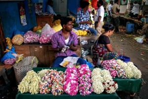 ඉන්දියාවේ මල් කිලෝවක් රුපියලටත් අඩු වෙයි