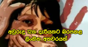 අවුරුදු 12ක දැරියකට බරපතළ ලිංගික අතවරයක්