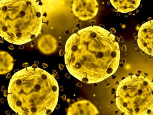 coronavirus news