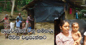 පැලවත්තේ වතු කම්කරු ජීවිත වලපැත්තට