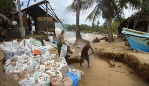 ආරුගම්බේ වෙරළ ළගදීම මුහුදු රකුසා බිලි ගැනිමට සුදානමින් – බලධාරීන් නිහඩයි