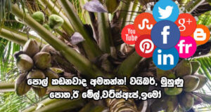 පොල් කඩනවාද අමතන්න! වයිබර්, මුහුණු පොත,ඊ මේල්, වට්ස්ඇප්, ඉමෝ