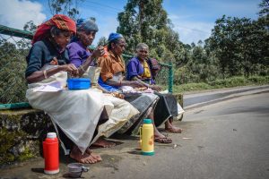 plantation workers of Sri Lanka