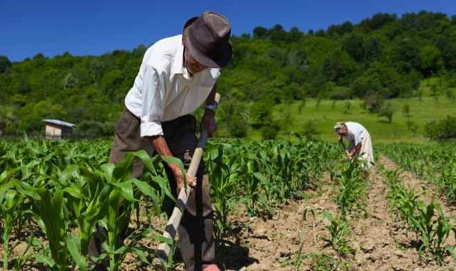 farmers