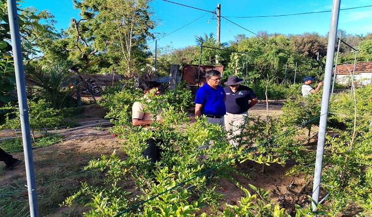 දෙළුම් වගාවෙන් රු.මිලියන 3.5ක ආදායමක් ඉපැයූ මඩකලපුවේ ගොවි මහත්තයා