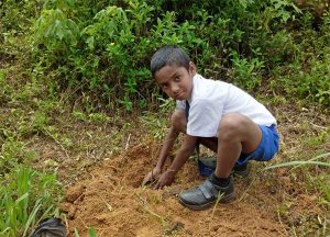 ලෝක පරිසර දිනය තේමා කර ගෙන රුක් රෝපන වැඩ සටහනක්