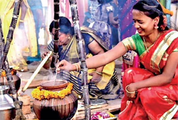 thai pongal sri lanka